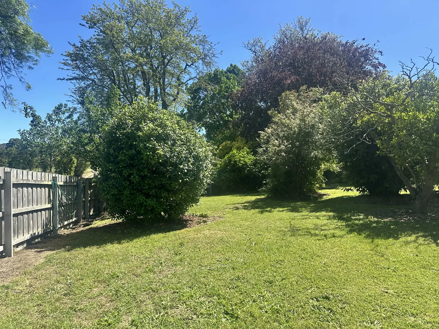Image 13