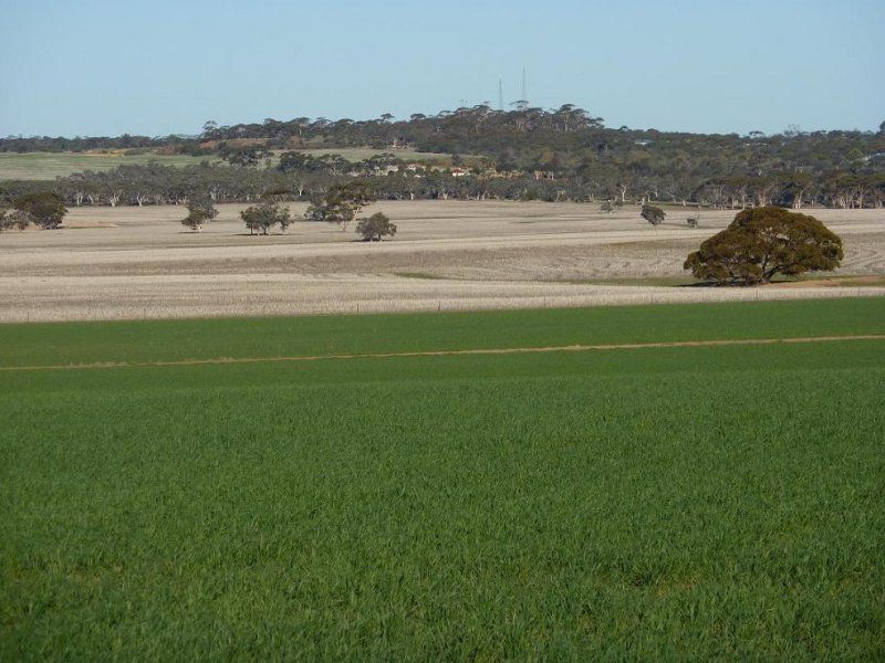 Corrigin WA 6375, Image 1