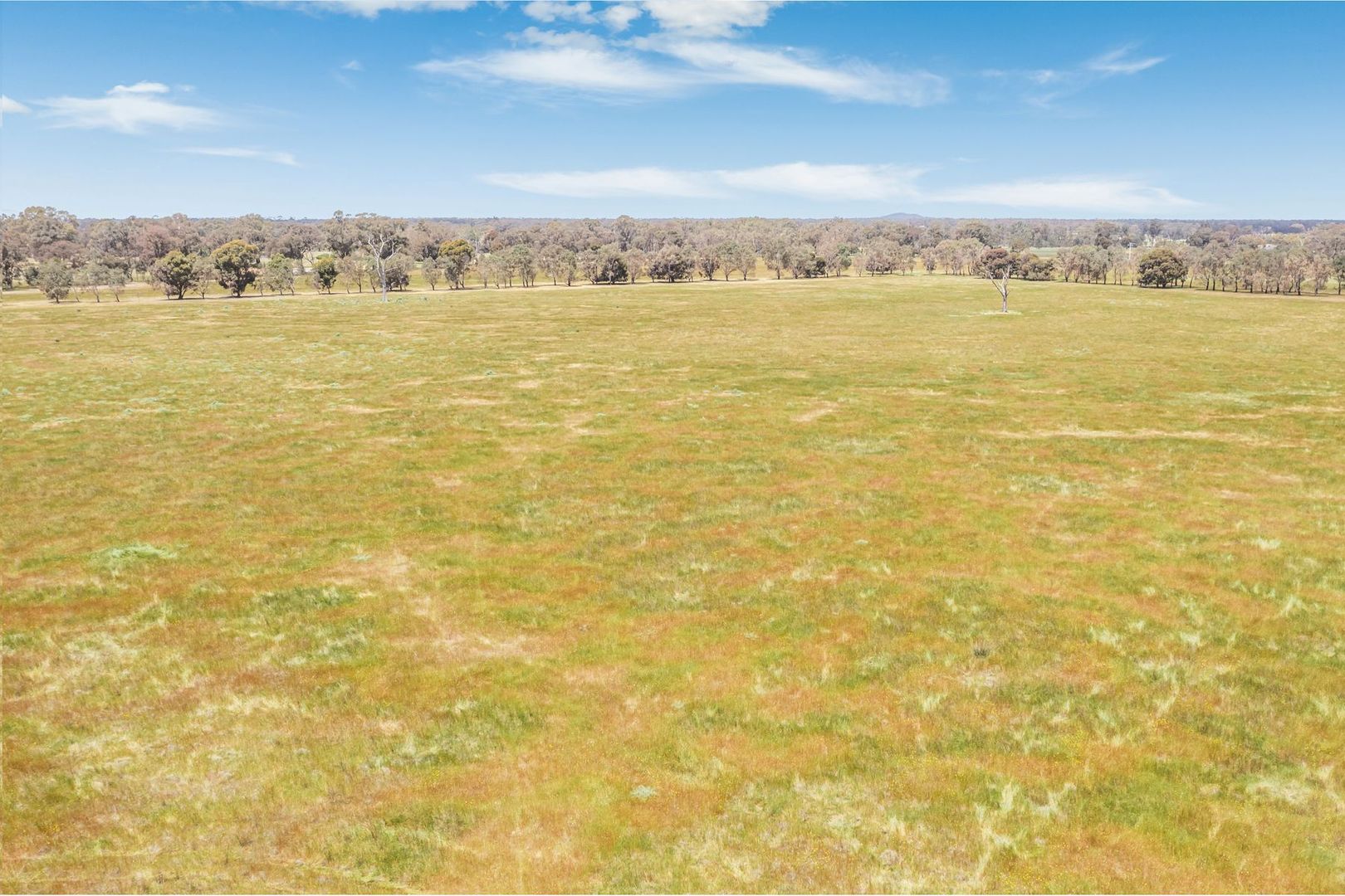 303 Pethericks Road, Goornong VIC 3557 Vacant Land for Sale