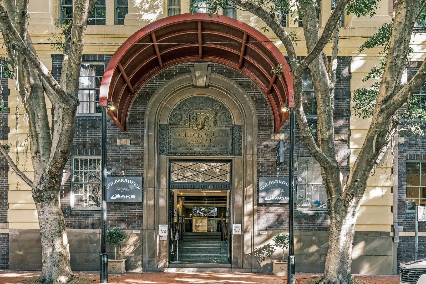 Image 7