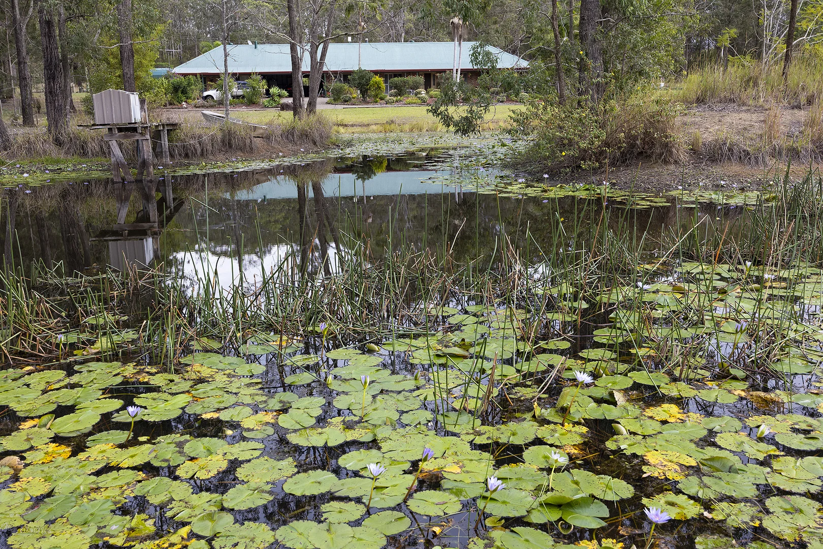 Image 34