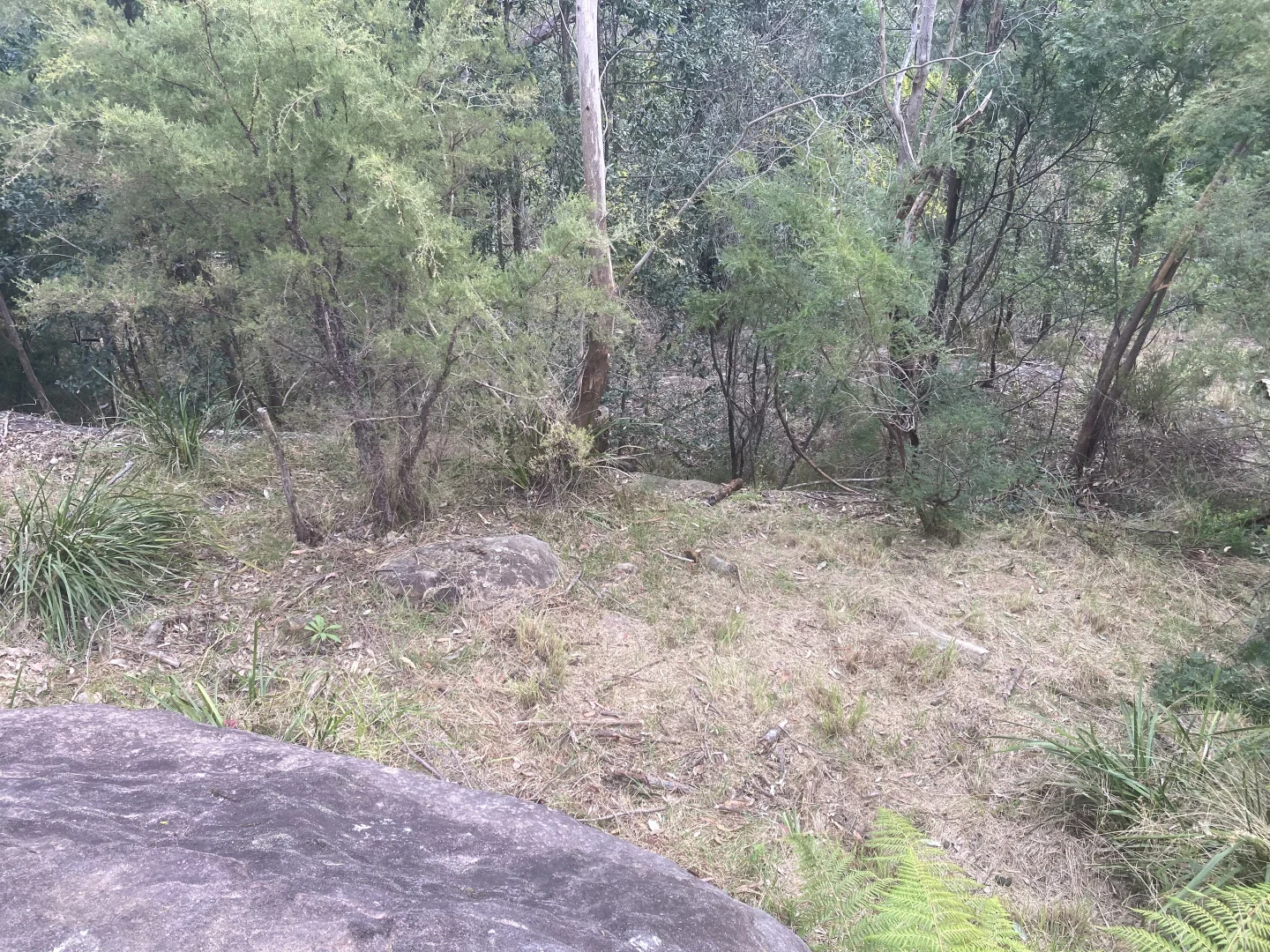Image 9