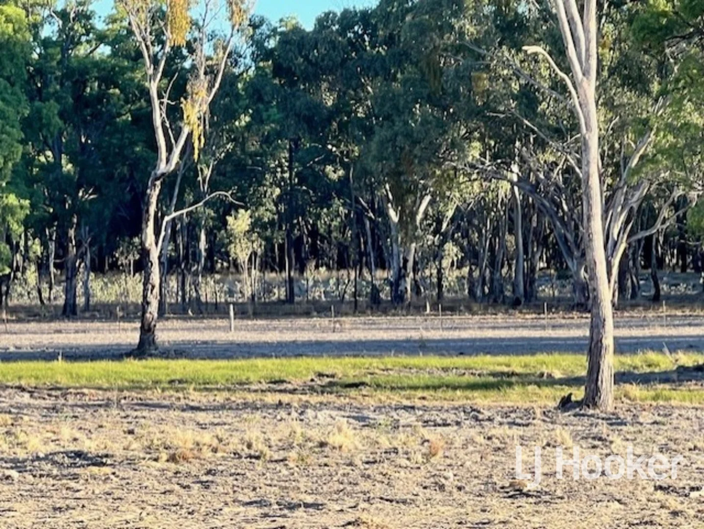 Additional image 15 of 296 Limestone Road, Inverell NSW 2360