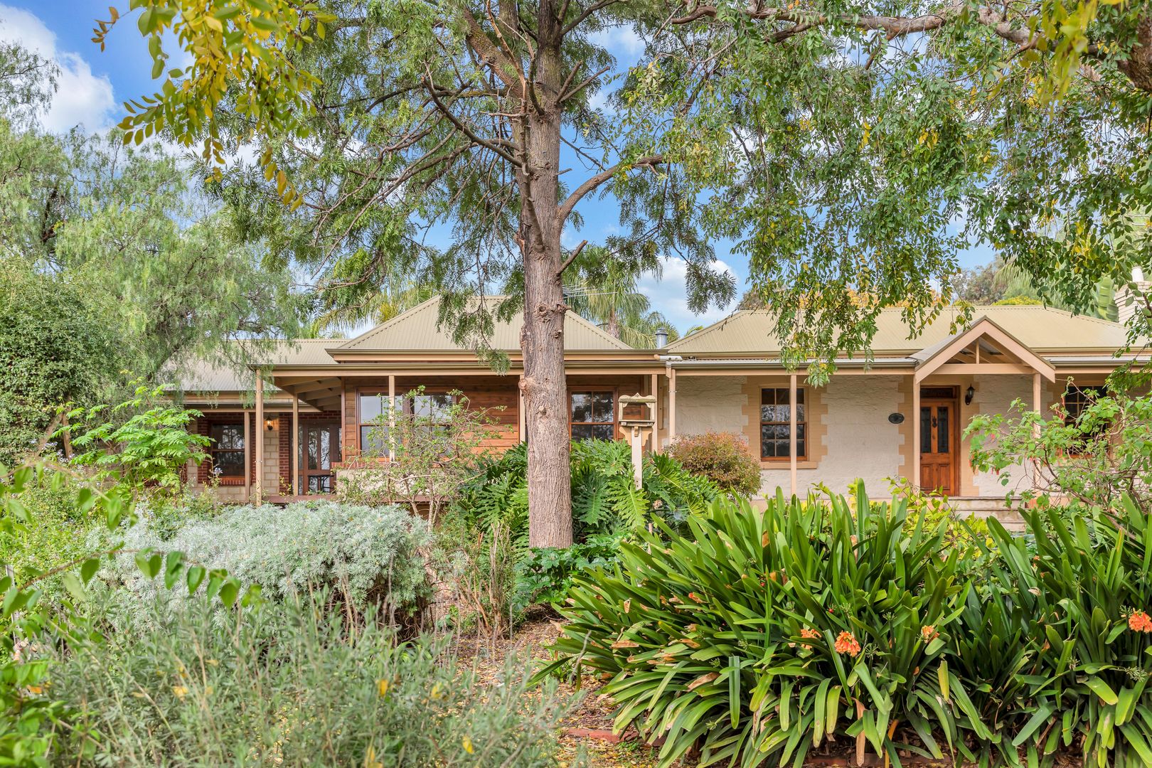 5 Kangarilla Road Mclaren Vale Sa 5171 Domain