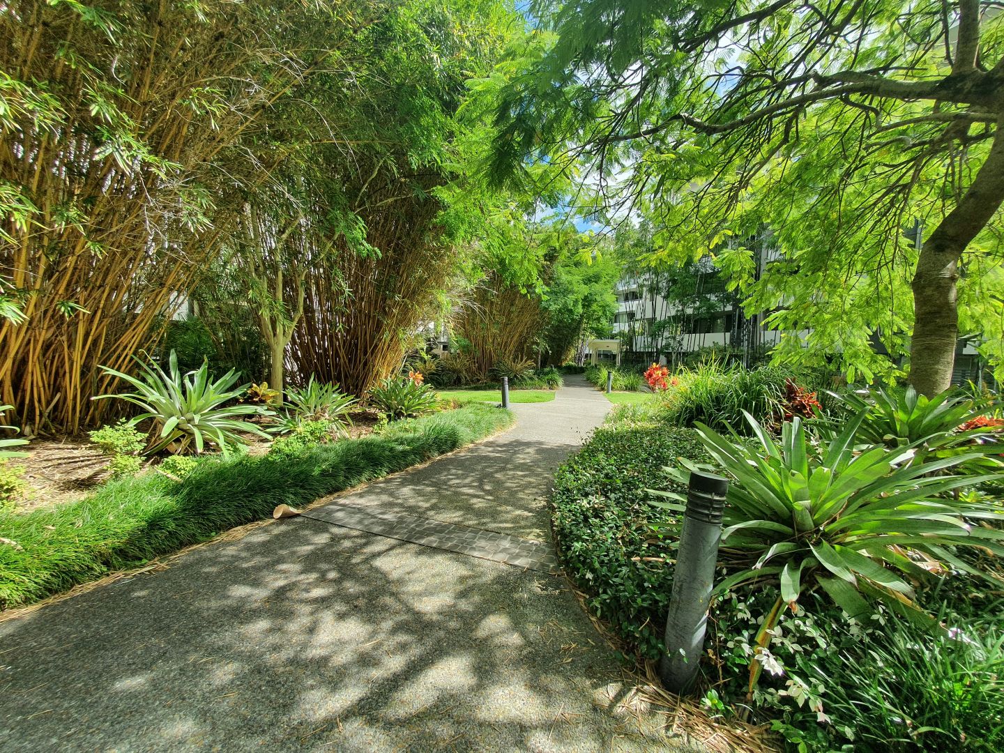 3408/141 Campbell Street, Bowen Hills QLD 4006 Apartment For Rent