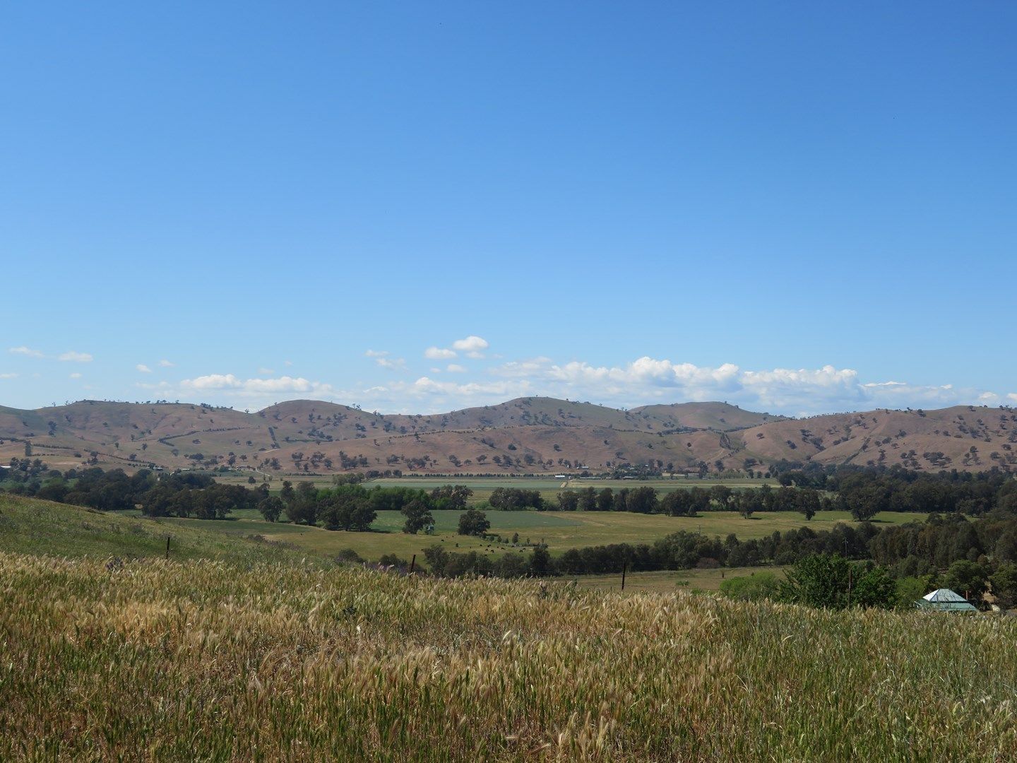 Lot 332 Neil McInerney Street, Gundagai NSW 2722, Image 0