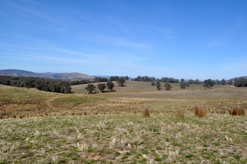 689 Mountain Creek Road, Mullengandra NSW 2644, Image 0