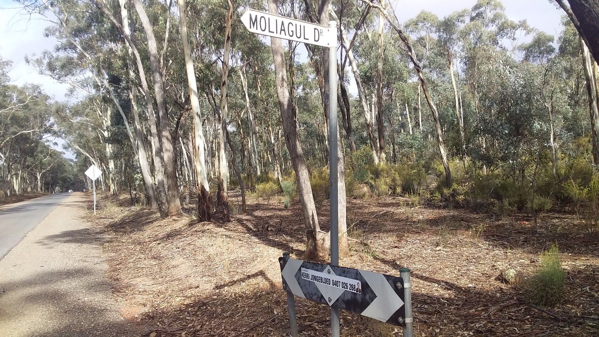 Lot 19 Moliagul Drive, Moliagul VIC 3472, Image 0