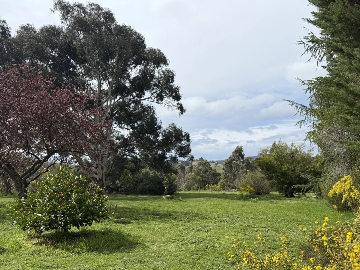 Image 8