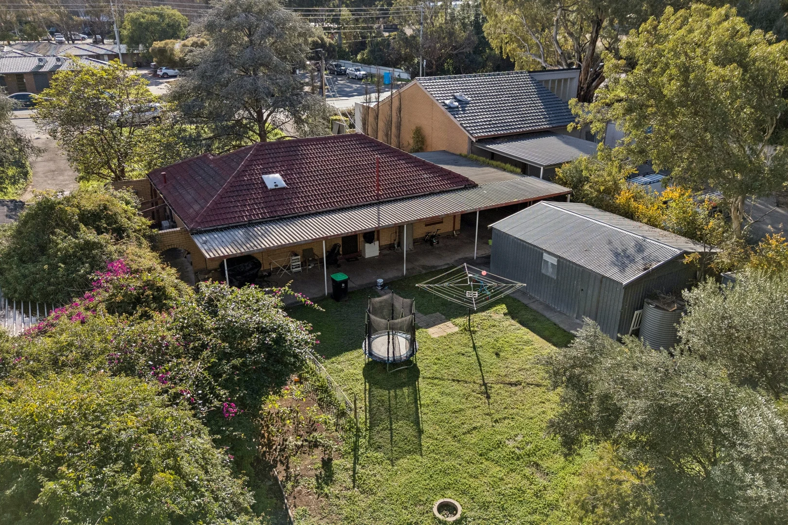 Image 13