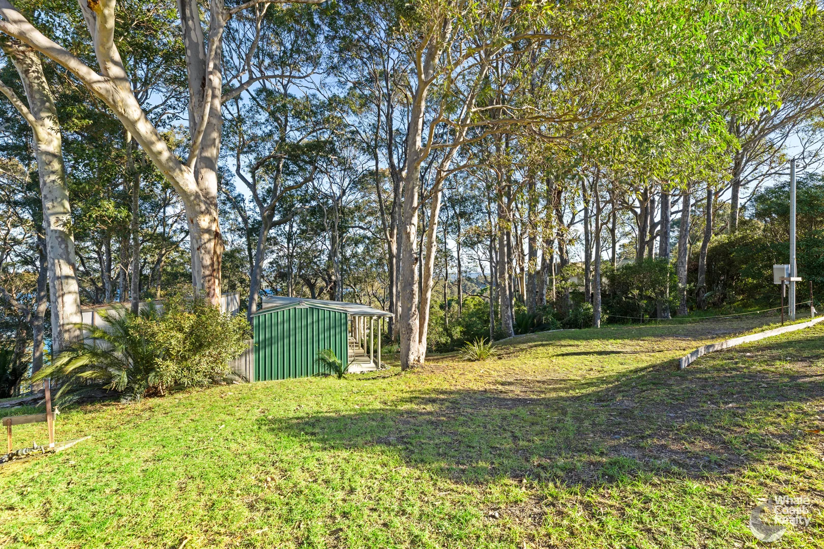 Image 11