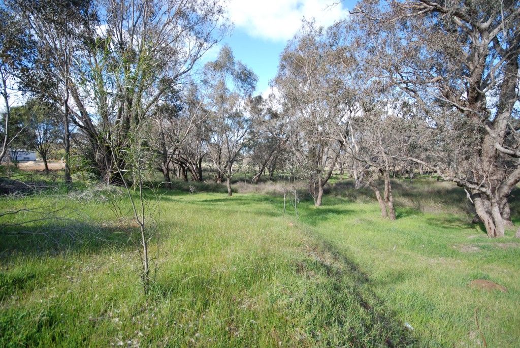 LOT 28 Albany Highway, Williams WA 6391, Image 0