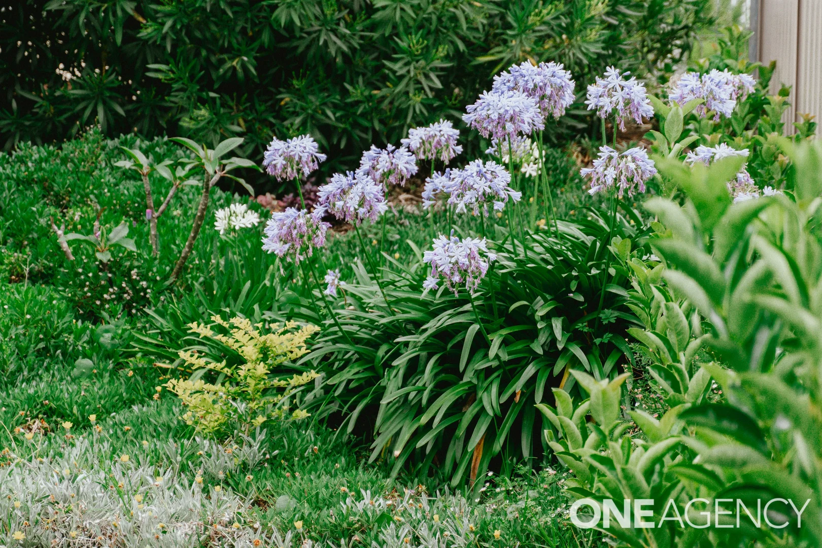 Additional image 19 of 49 Clissold Street, Mollymook NSW 2539