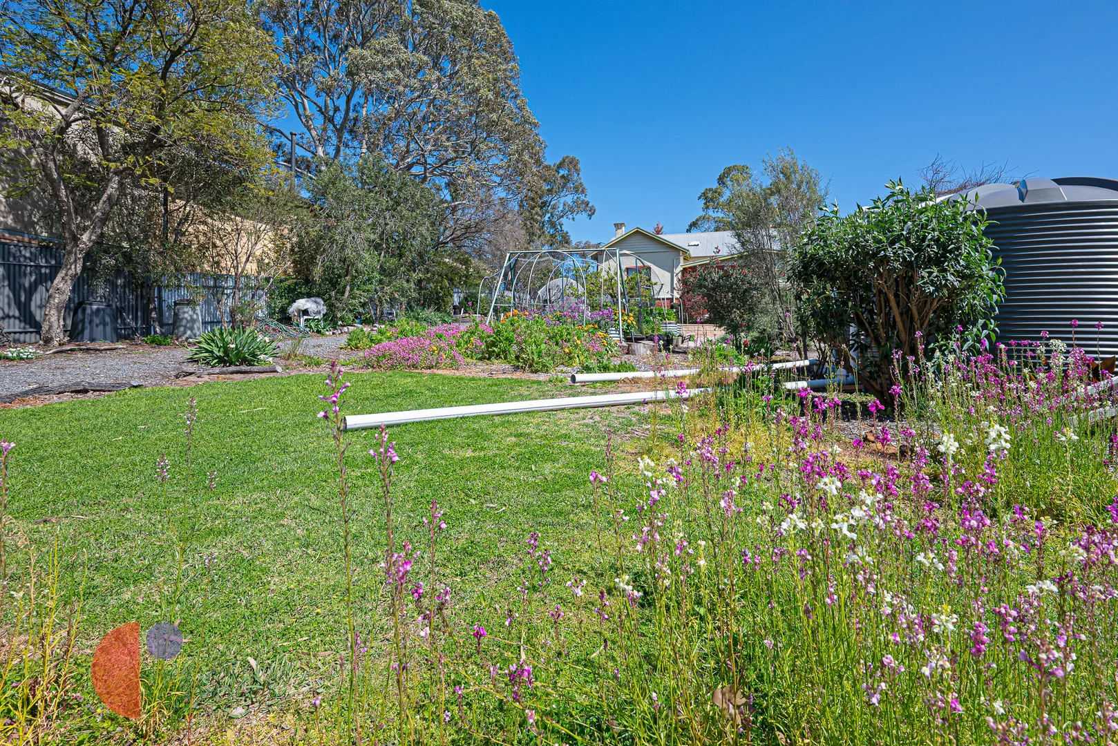 Image 10