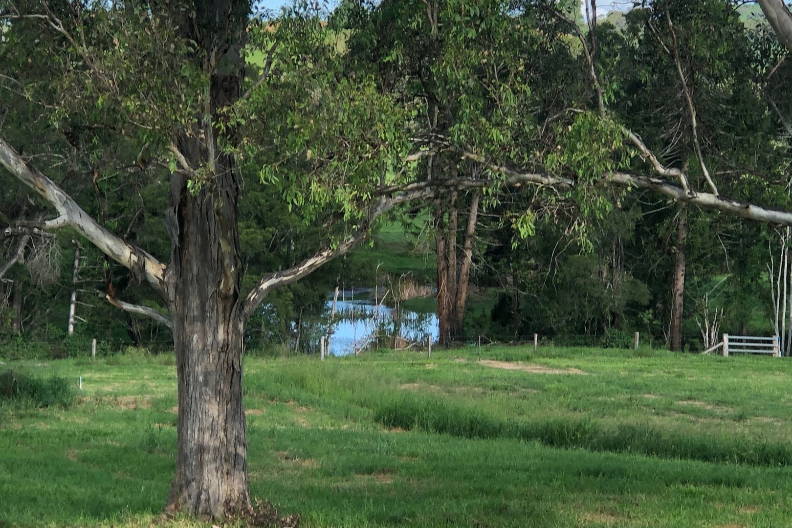 Pie Creek QLD 4570 vacant land for Sale, 340,000375,000 2016546008