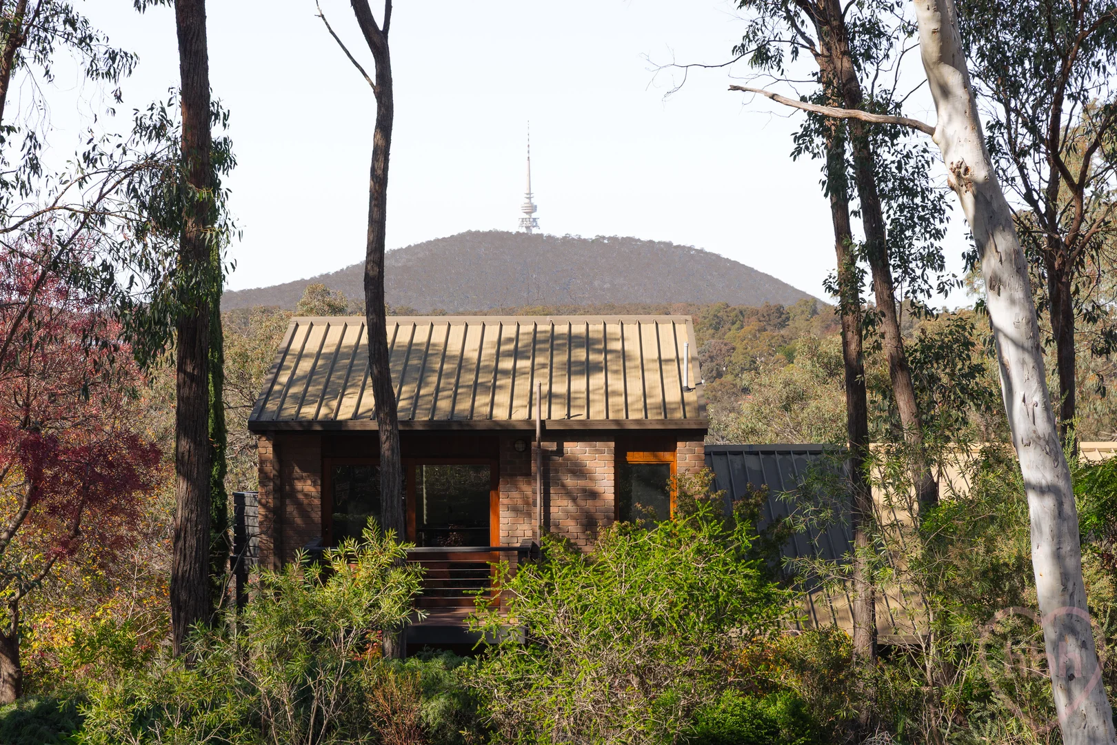 Image 39