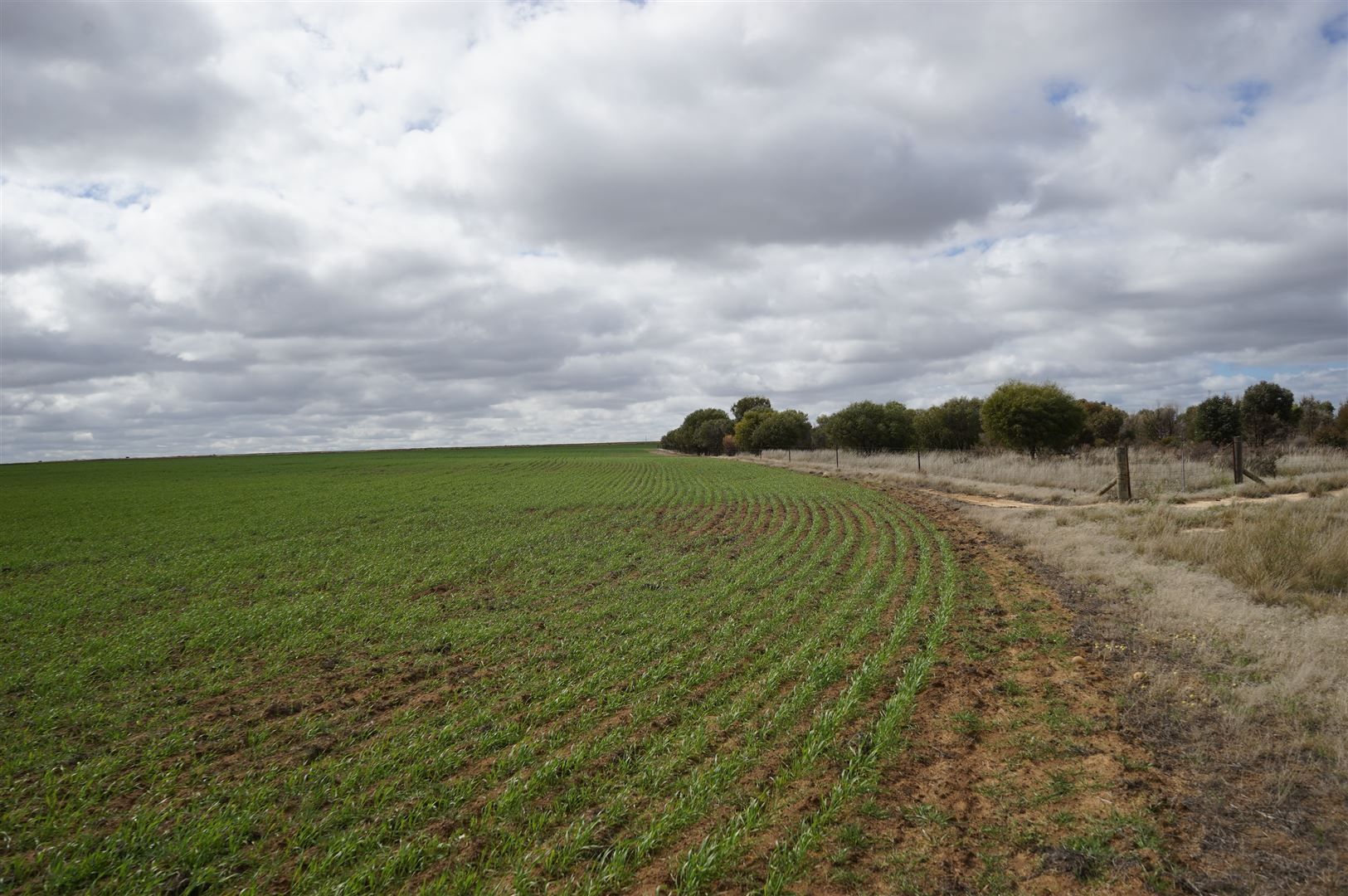 Narembeen WA 6369, Image 2