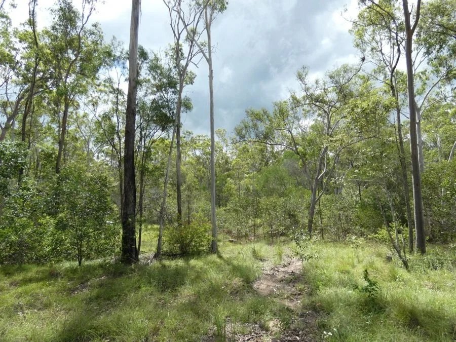 Image 10