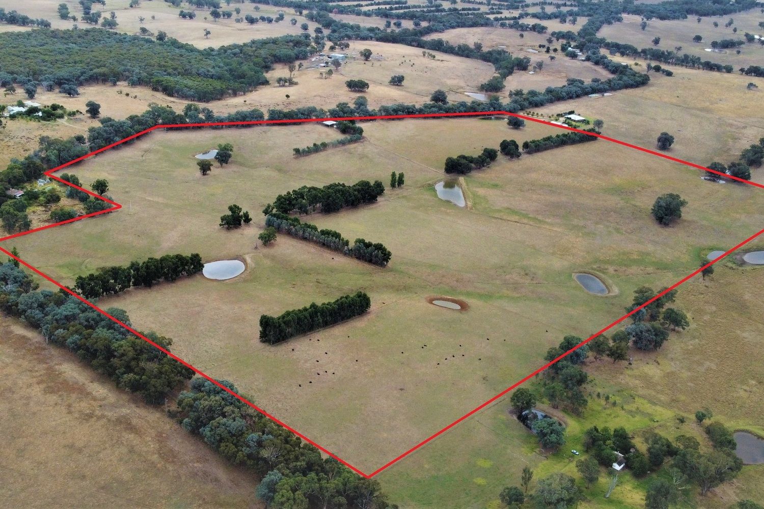 2/. Banksdale Lane, Greta VIC 3675 House for Sale Domain