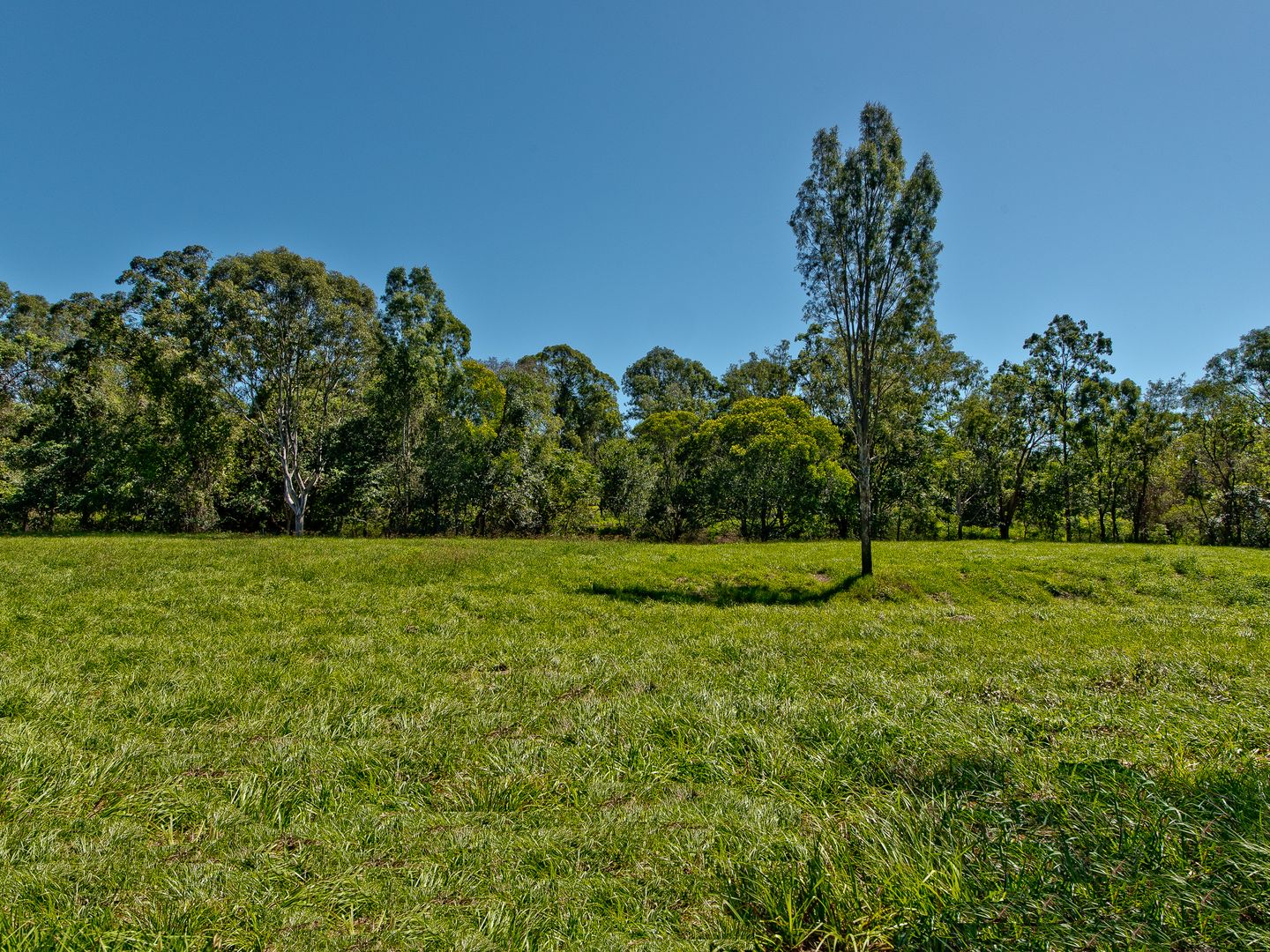 Lot 1 "Mountain Rise Estate" Moonlight Avenue, Highvale QLD 4520, Image 1