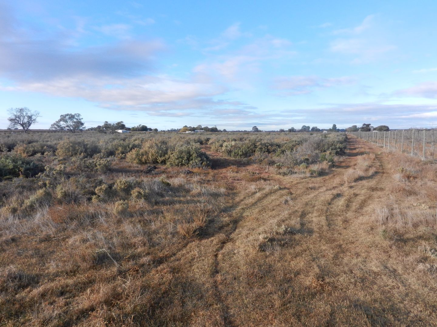 Lot 39 Canal Road, Renmark SA 5341, Image 1