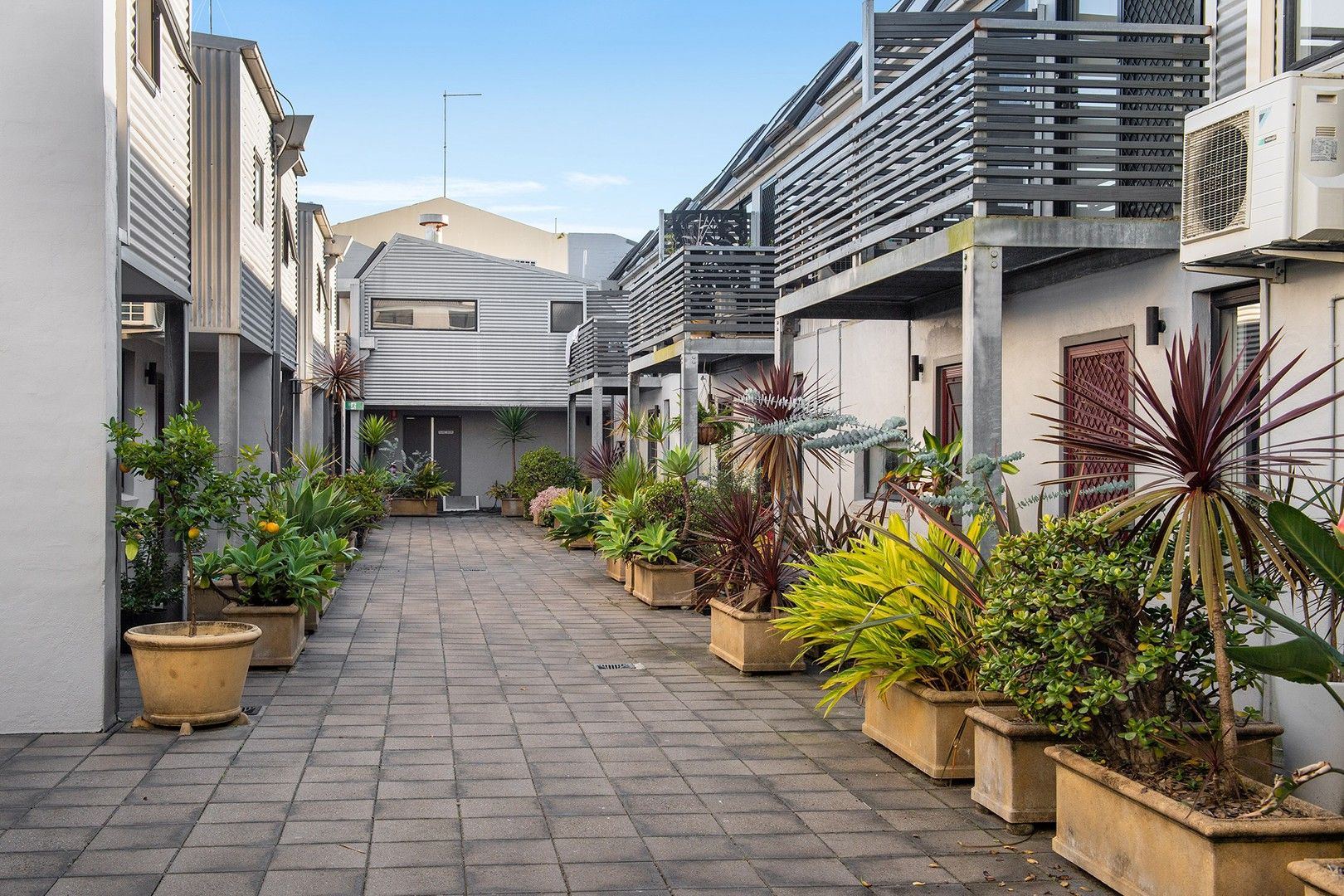 1 bedrooms Apartment / Unit / Flat in 43/43-57 Mallett Street CAMPERDOWN NSW, 2050
