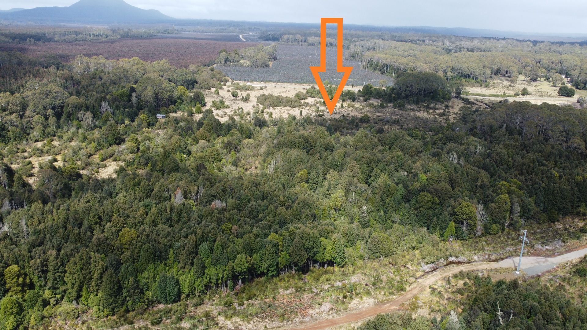 396 Waratah Road, Waratah TAS 7321 Vacant Land for Sale Domain