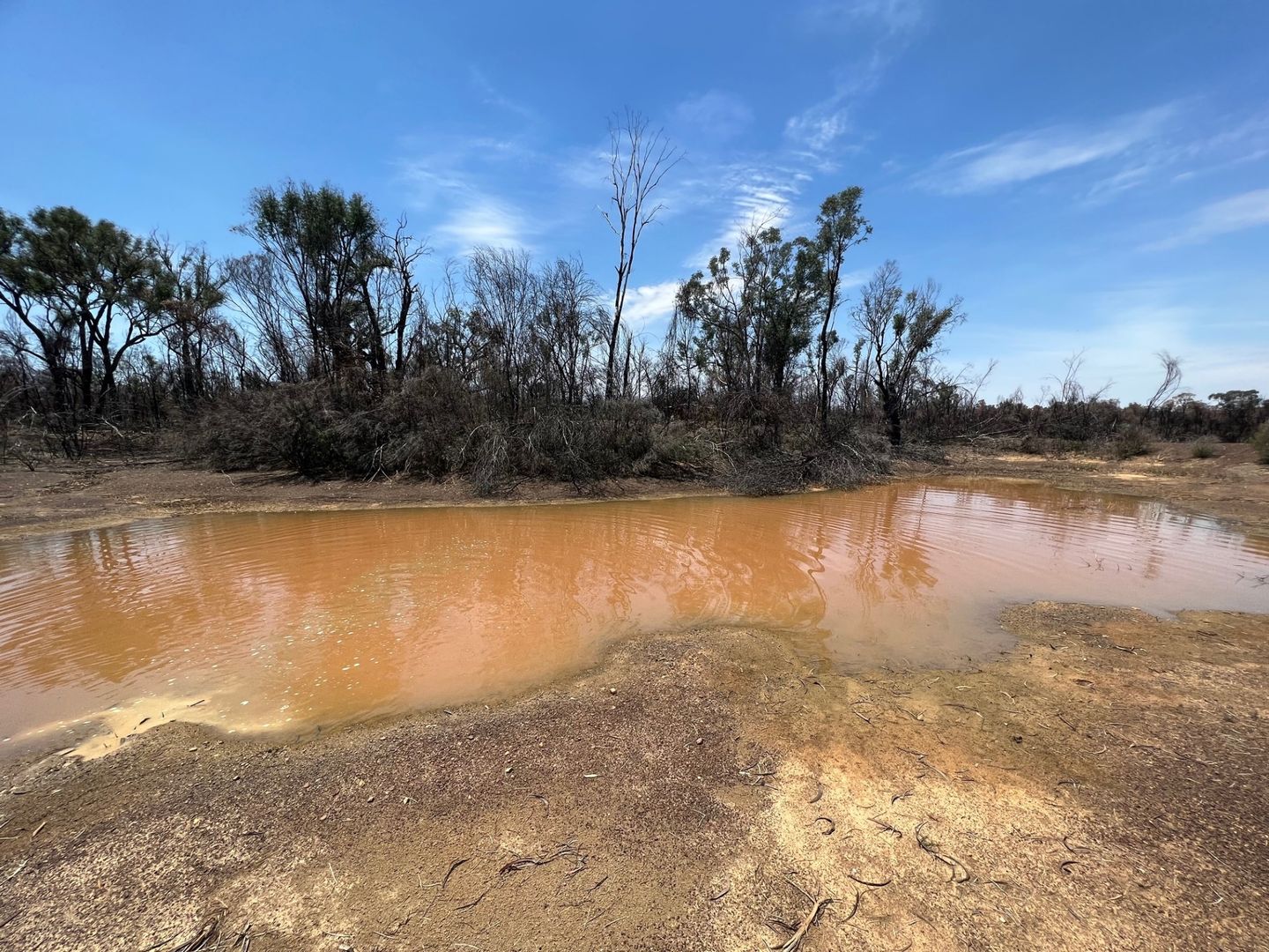 Lot 4 Mary Road, Tara QLD 4421, Image 1