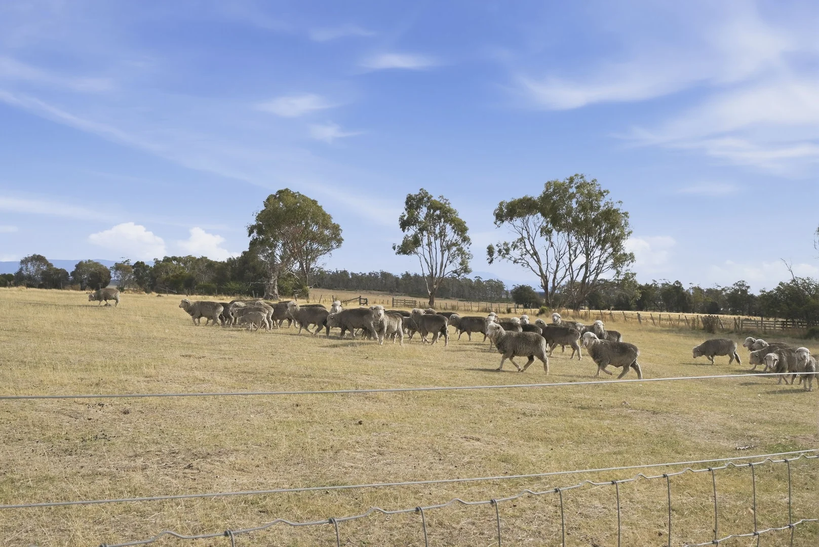 Additional image 27 of 411 Bryants Lane, Deddington TAS 7212