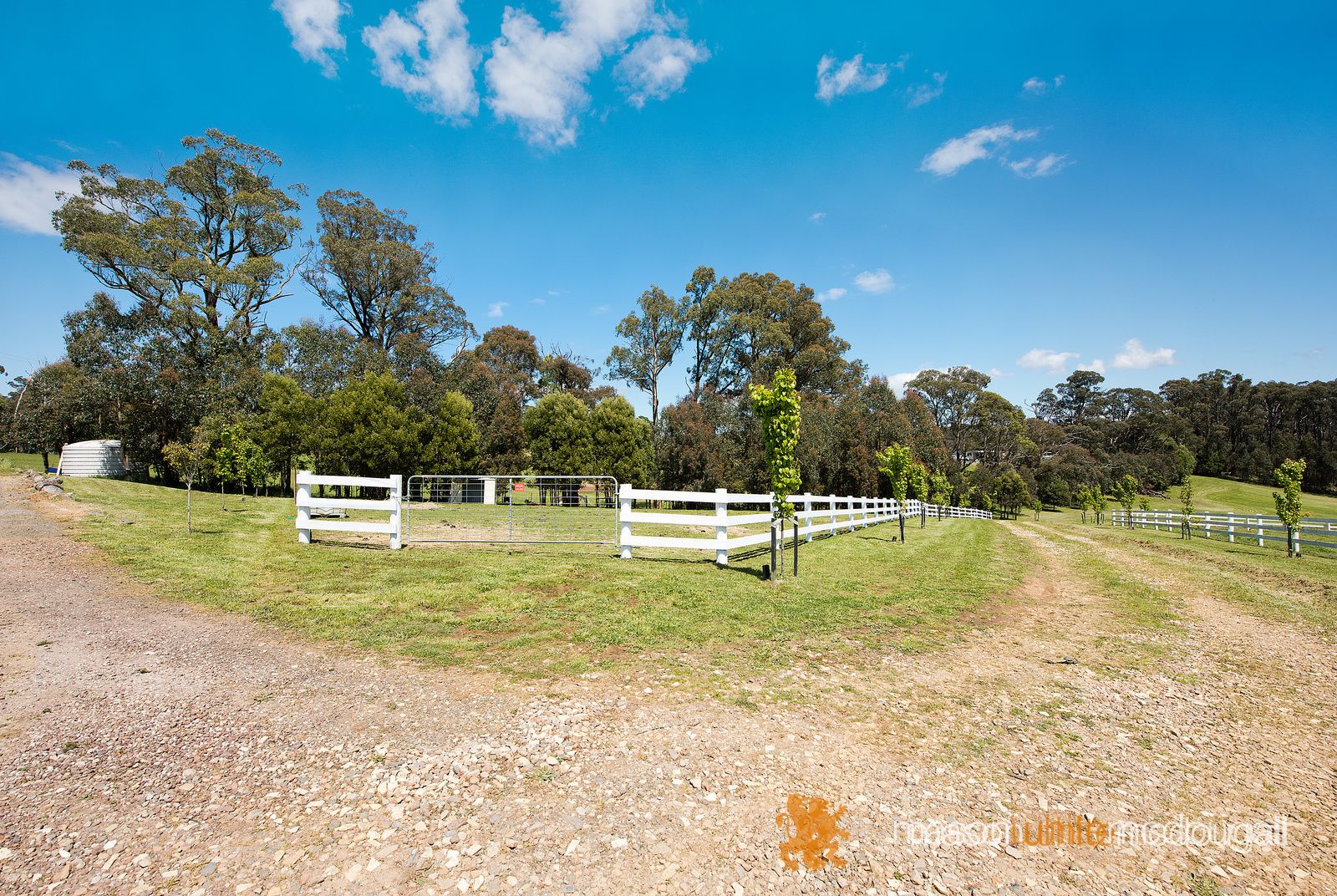 93 Pheasant Creek Road, Kinglake West VIC 3757, Image 2