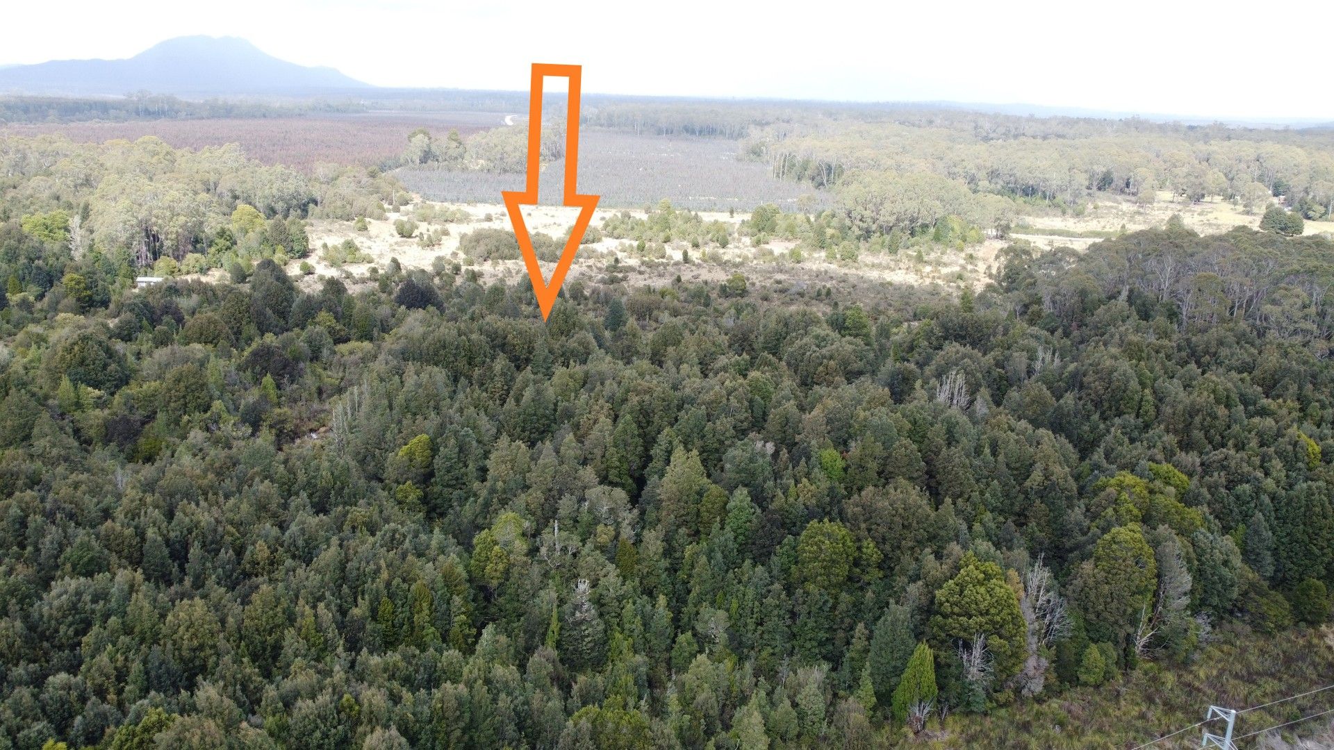 396 Waratah Road, Waratah TAS 7321 Vacant Land for Sale Domain