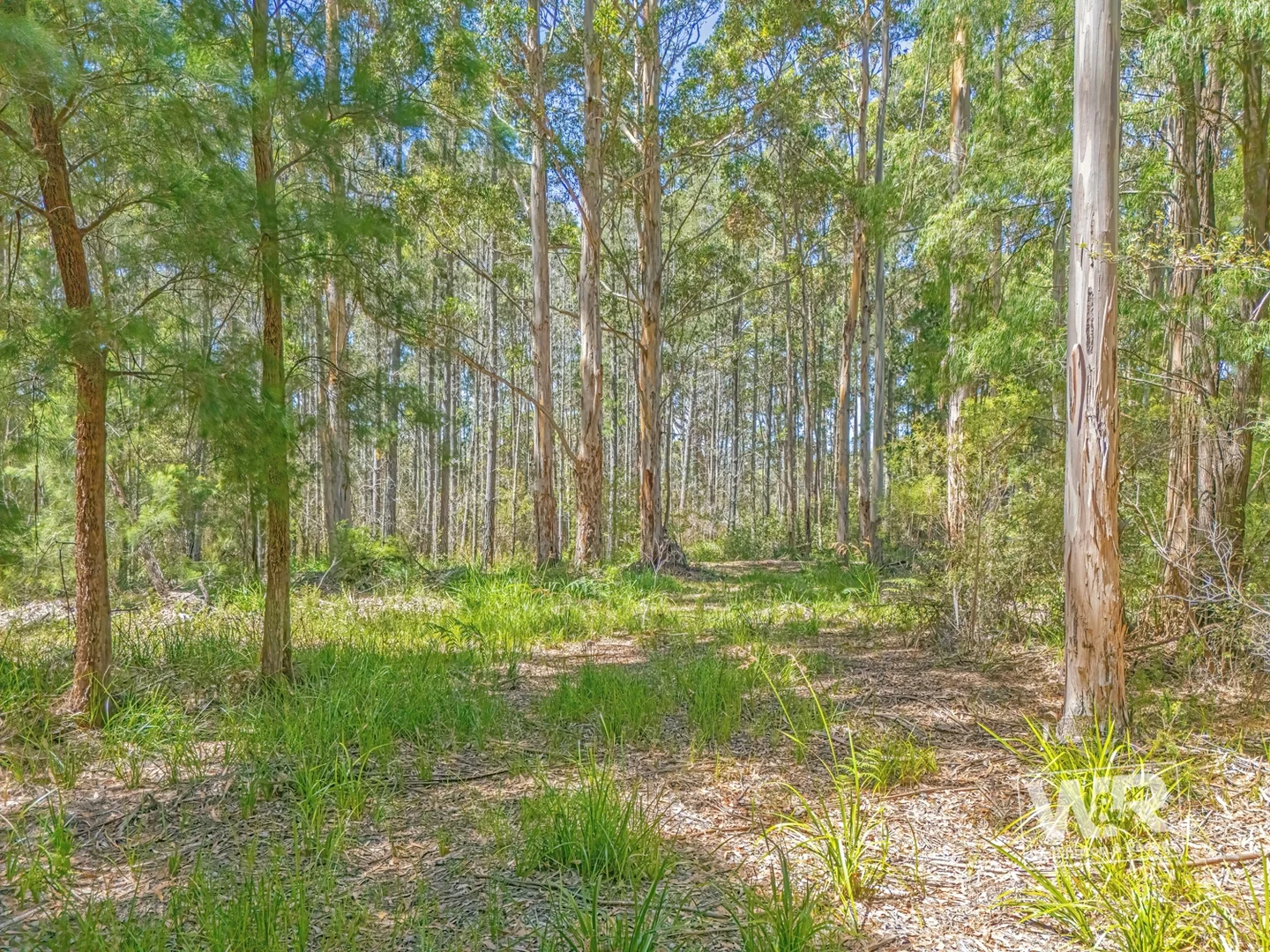 Additional image 6 of Shadforth WA 6333