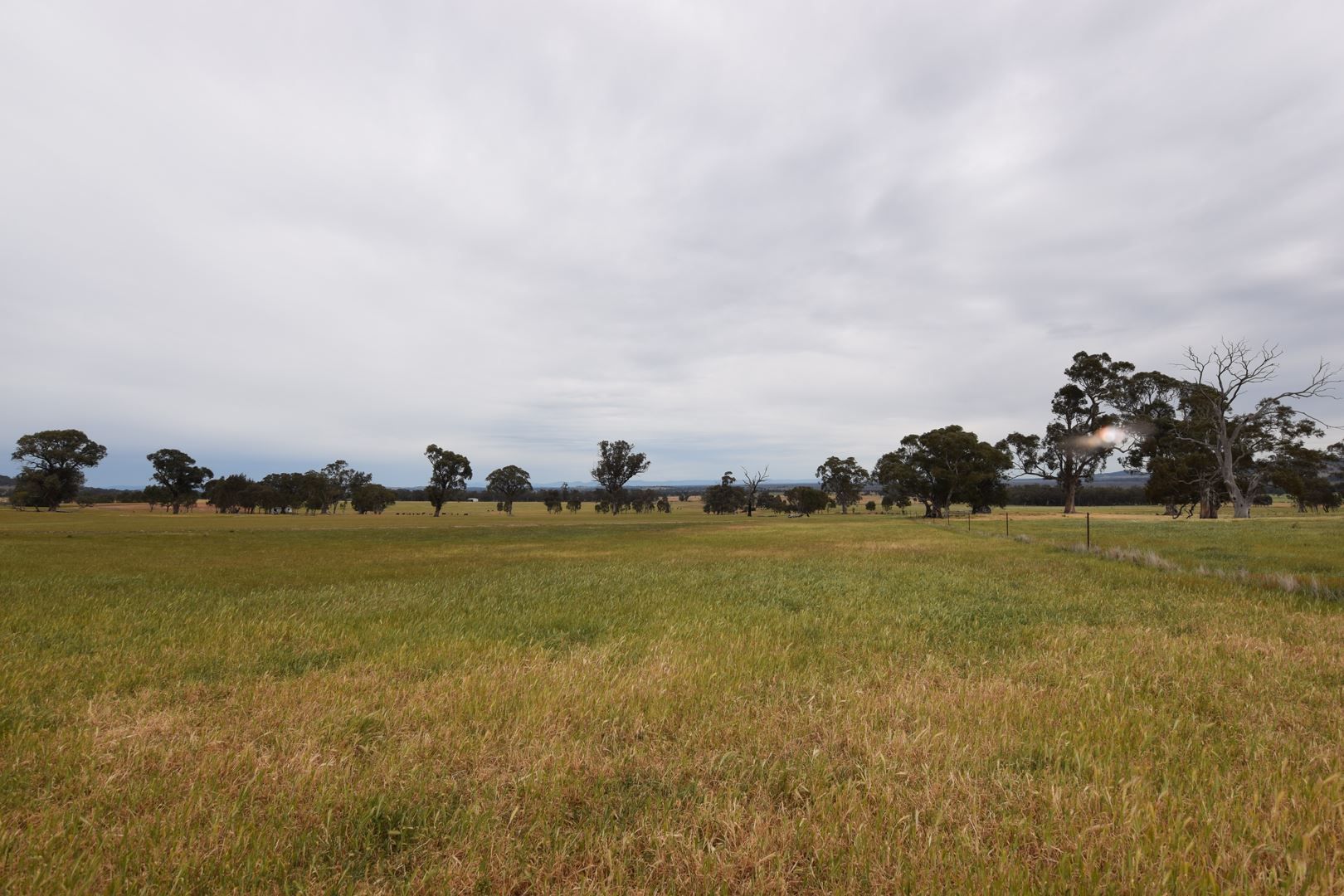 600 Upper Taminick Road, Wangaratta South VIC 3678, Image 2