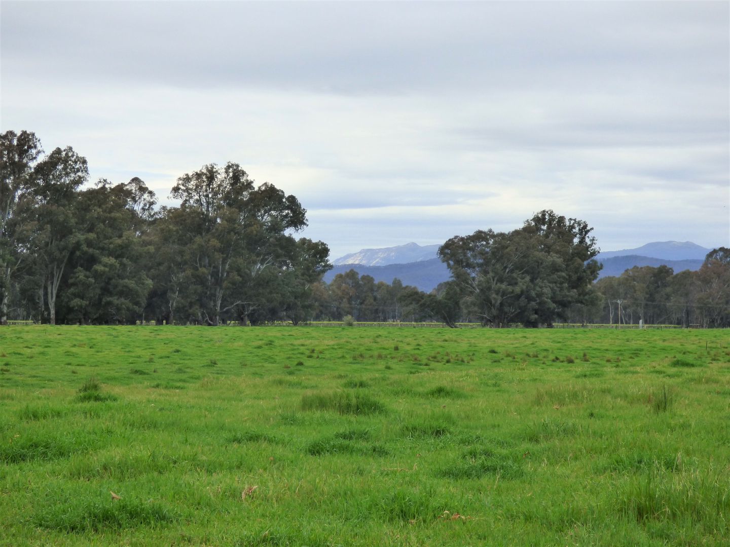Lot 2 Whorouly Road, Whorouly VIC 3735, Image 1
