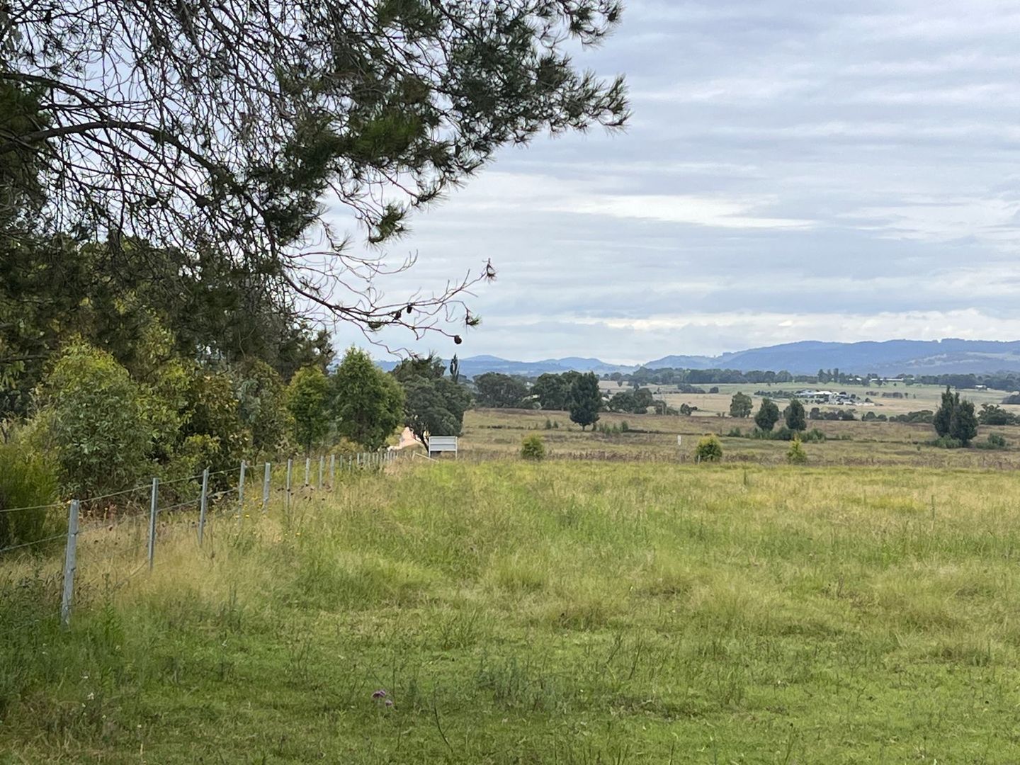 Lot 35 Robinsons Lane, Tenterfield NSW 2372, Image 1