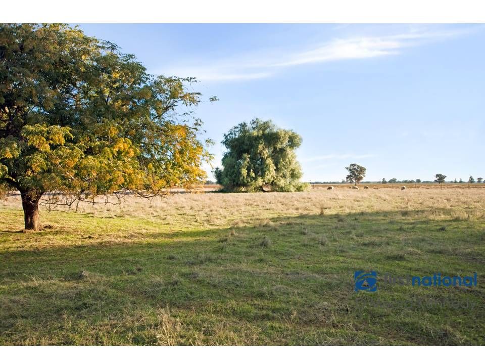 Lot 124-125 Waterbag Lane, Rennie NSW 2646, Image 1