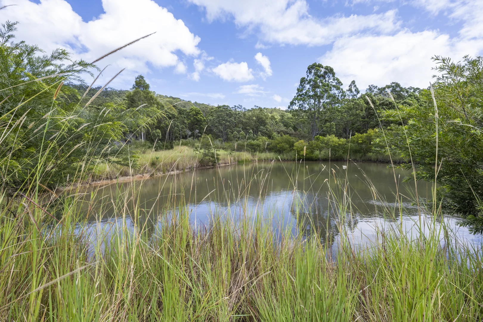 Additional image 16 of 800 Firth Heinz Road, Pillar Valley NSW 2462