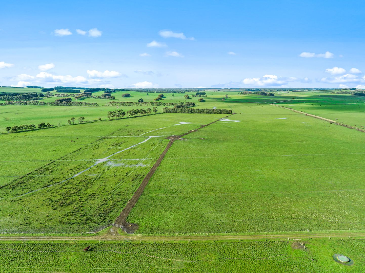 Gores Road, Terang VIC 3264 House for Sale Domain