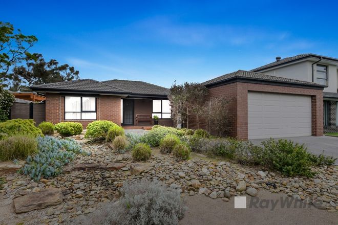 Picture of 11 Baileyana Drive, ENDEAVOUR HILLS VIC 3802