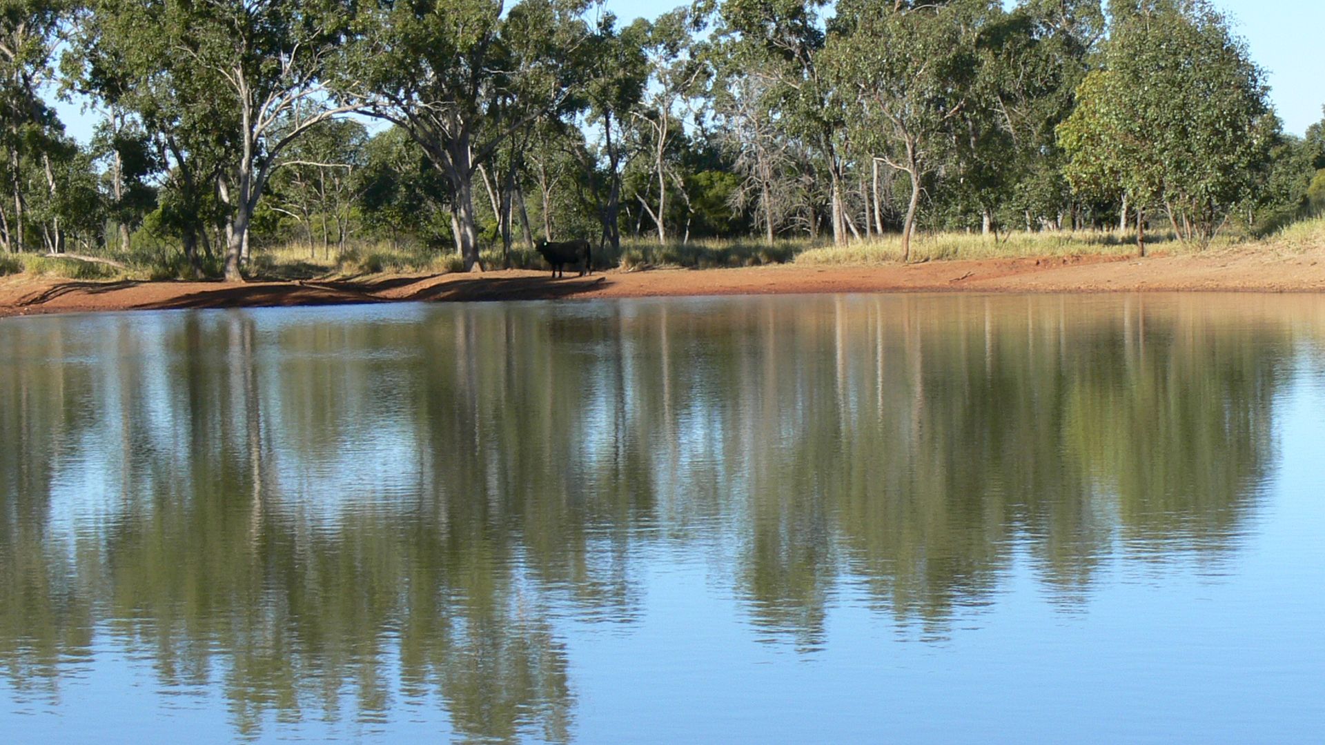 Moordale, Walgett NSW 2832 House for Sale 2.32140 Domain