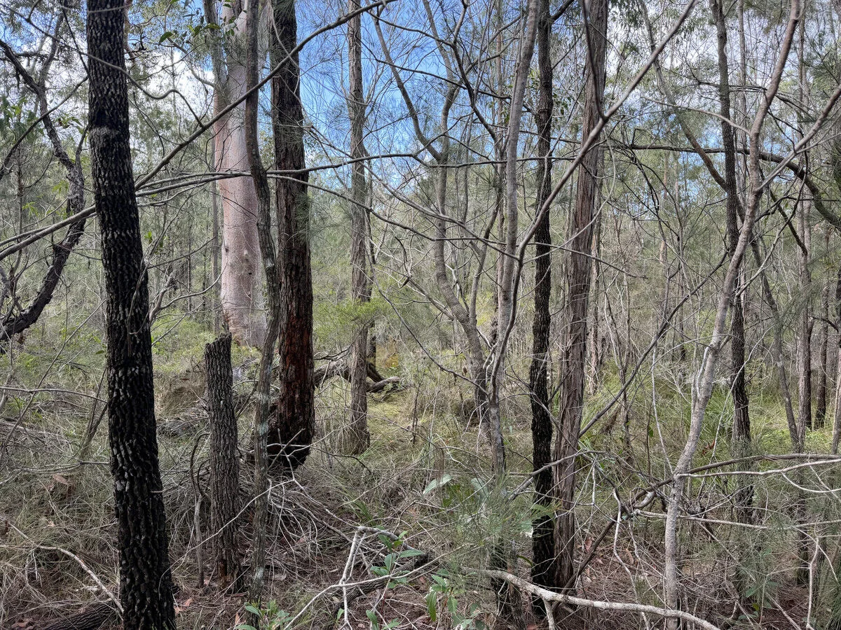 Image 10