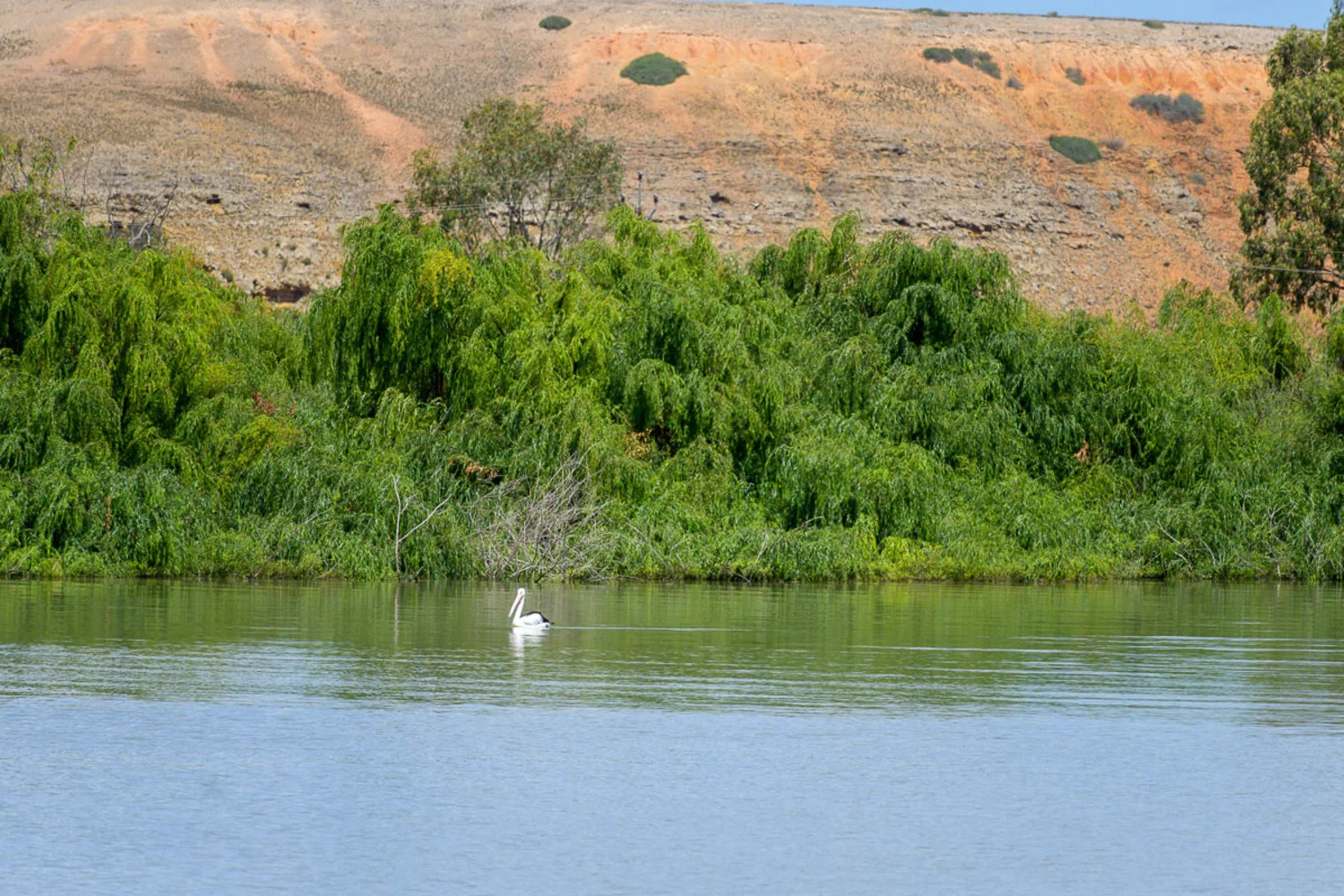 Image 10