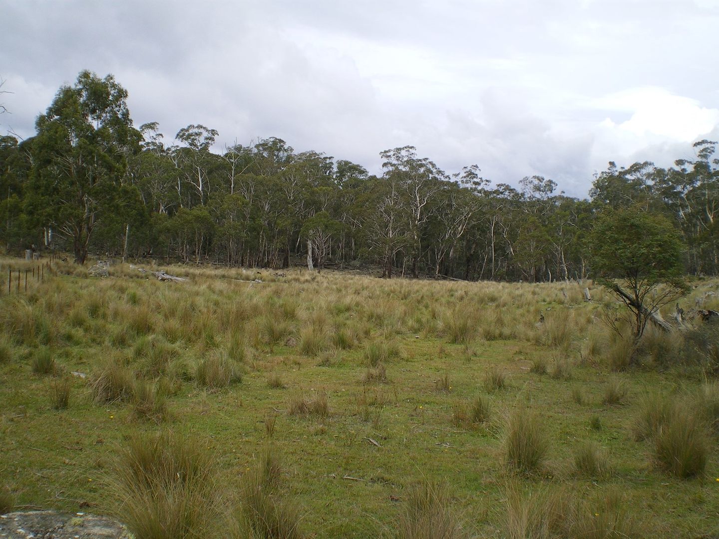 Lot 98 Badja Road, Countegany NSW 2630, Image 1