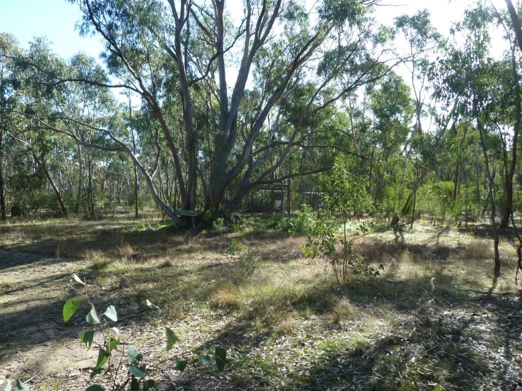 Lot 1D Wehla-Wedderburn Road, Wedderburn VIC 3518, Image 0