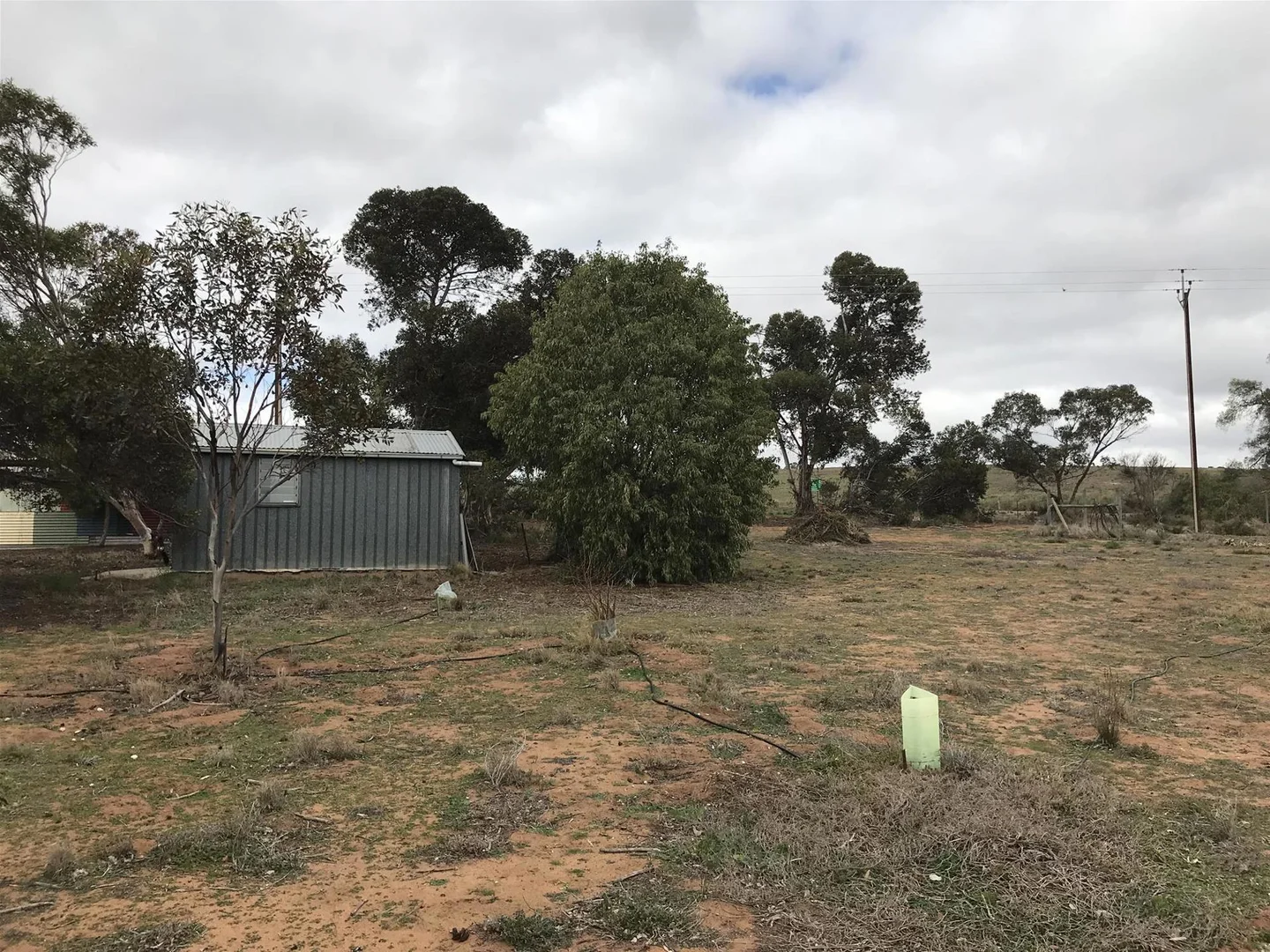 Image 21