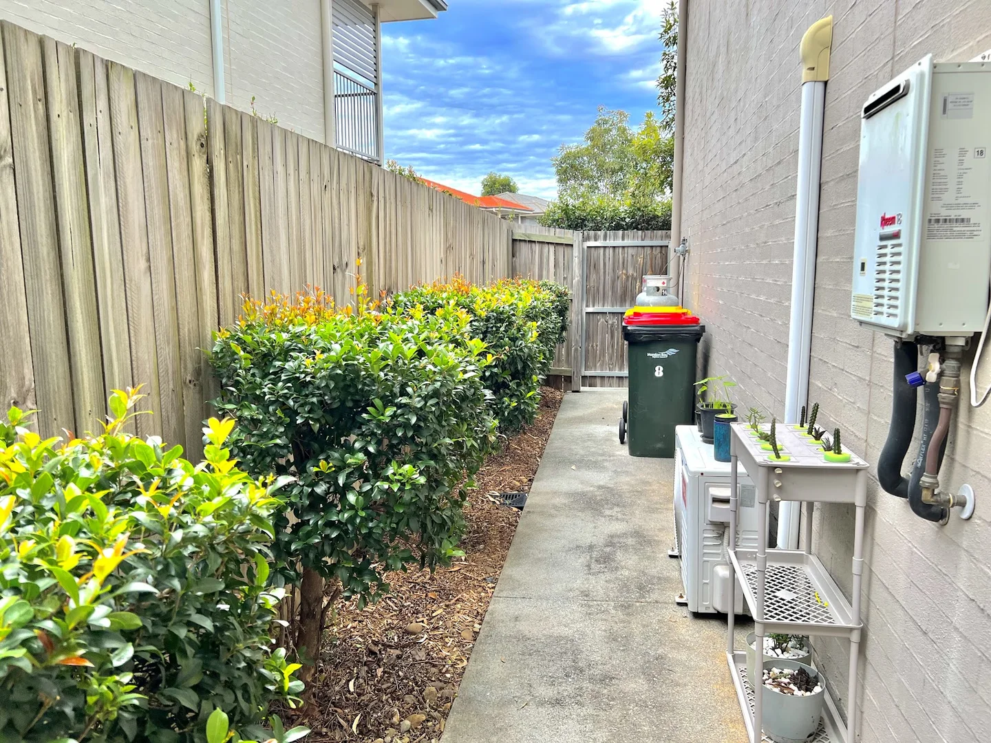 Image 11