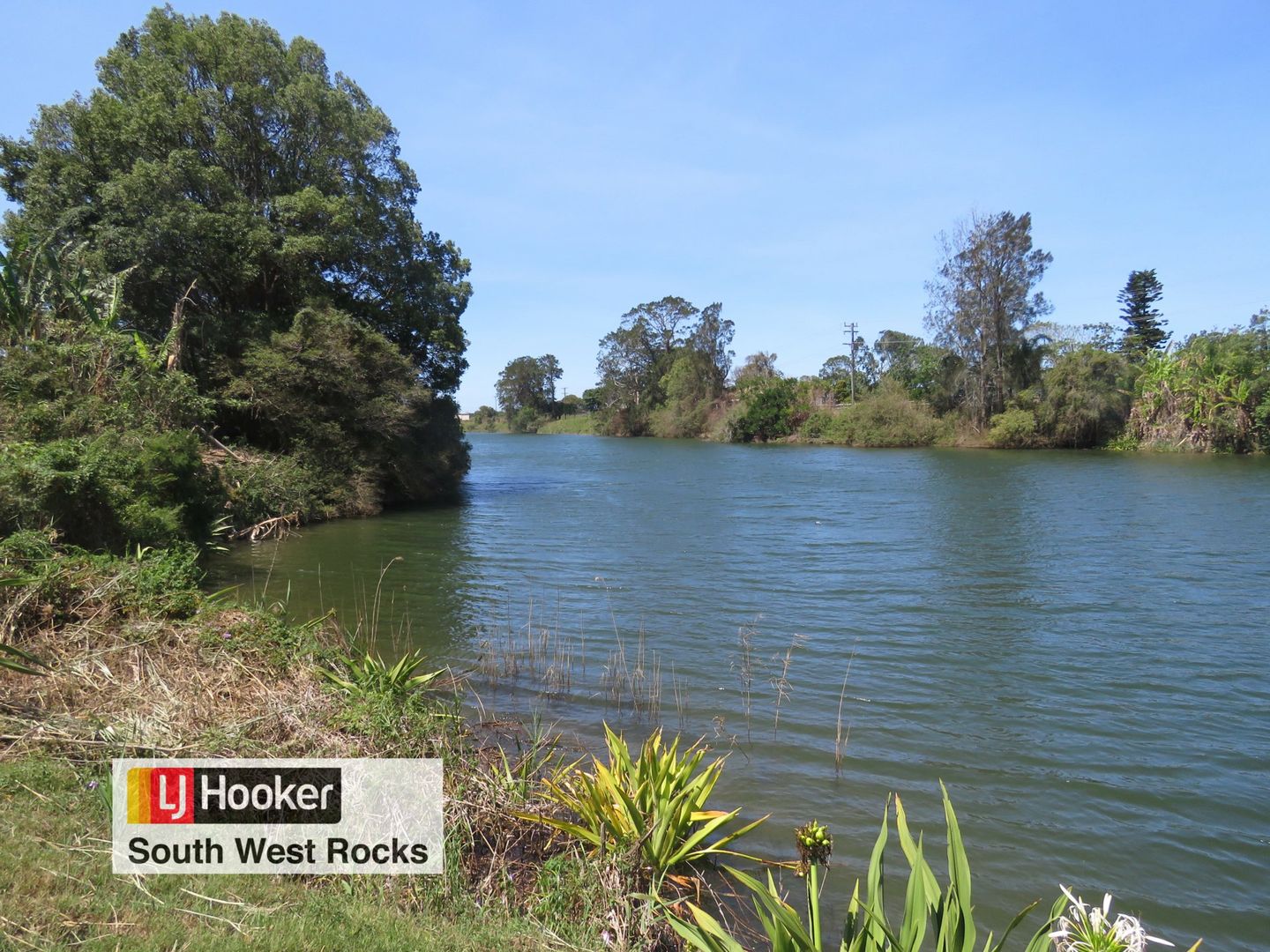 342 Left Bank Road, Belmore River NSW 2440, Image 1