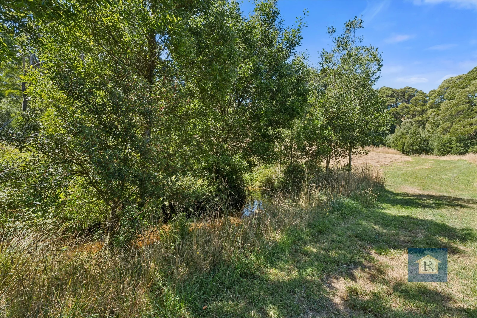 Image 13