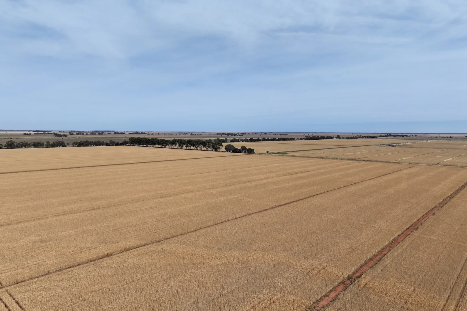 Image 13