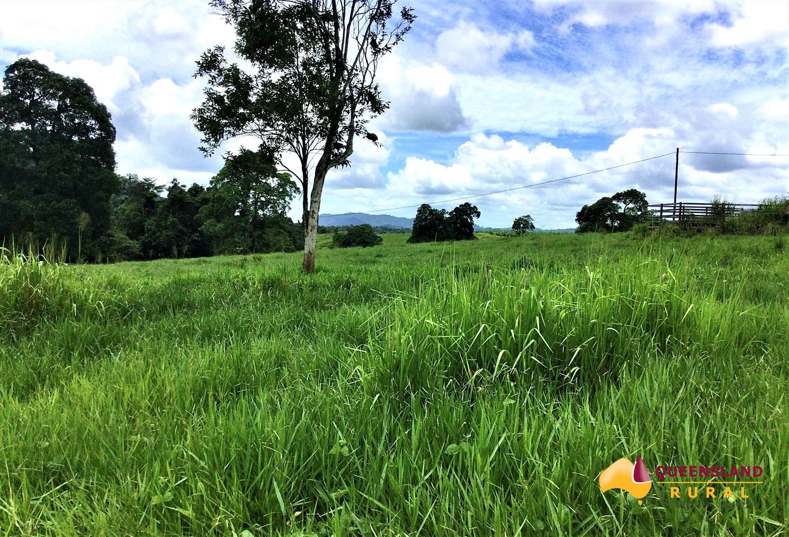 Utchee Creek QLD 4871 House for Sale 1,650,000 Domain